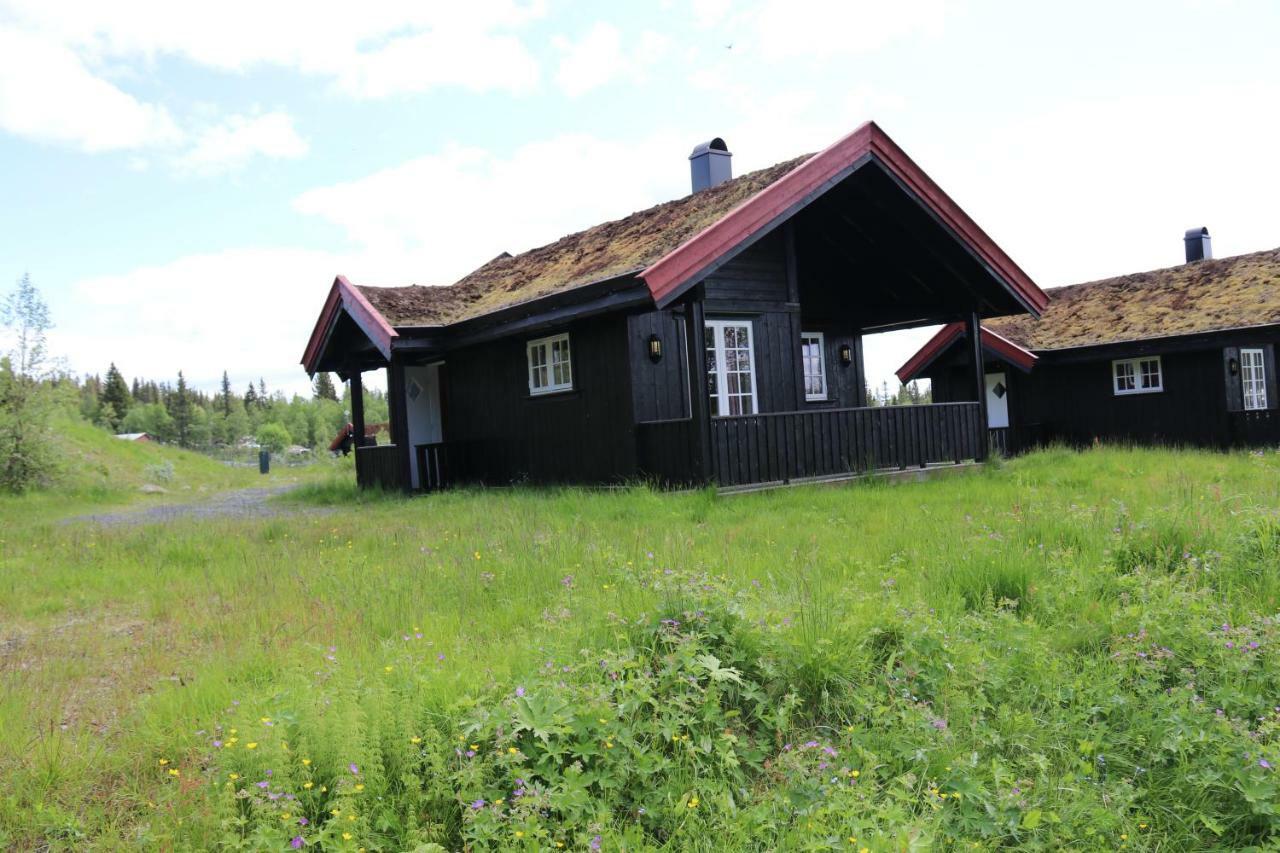 Etnedal Gamlestolen Fjellstue 빌라 외부 사진