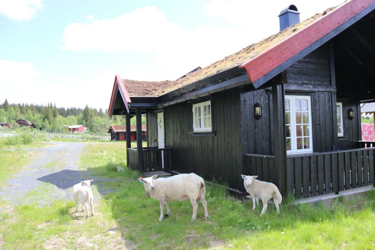 Etnedal Gamlestolen Fjellstue 빌라 외부 사진